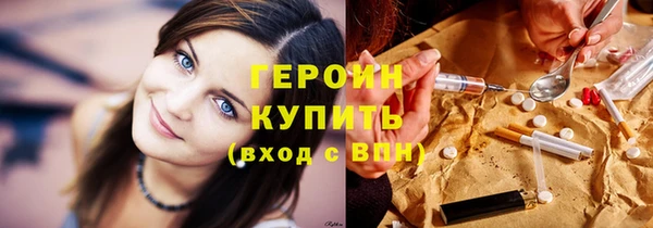 гашик Алексин