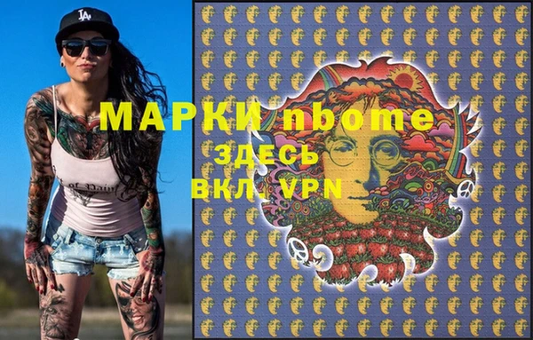 гашик Алексин