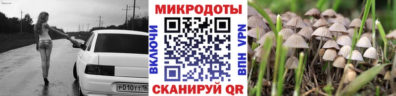 Псилоцибиновые грибы Psilocybine cubensis  магазин продажи   Нытва 